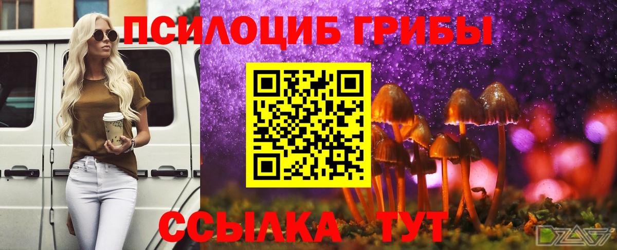 Псилоцибиновые грибы прущие грибы  Псилоцибиновые грибы ЛСД  Шадринск  Вход с VPN 